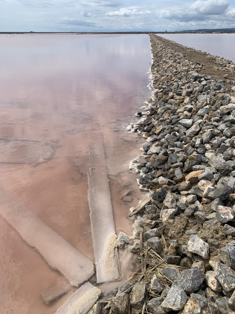 les salins de gruissan