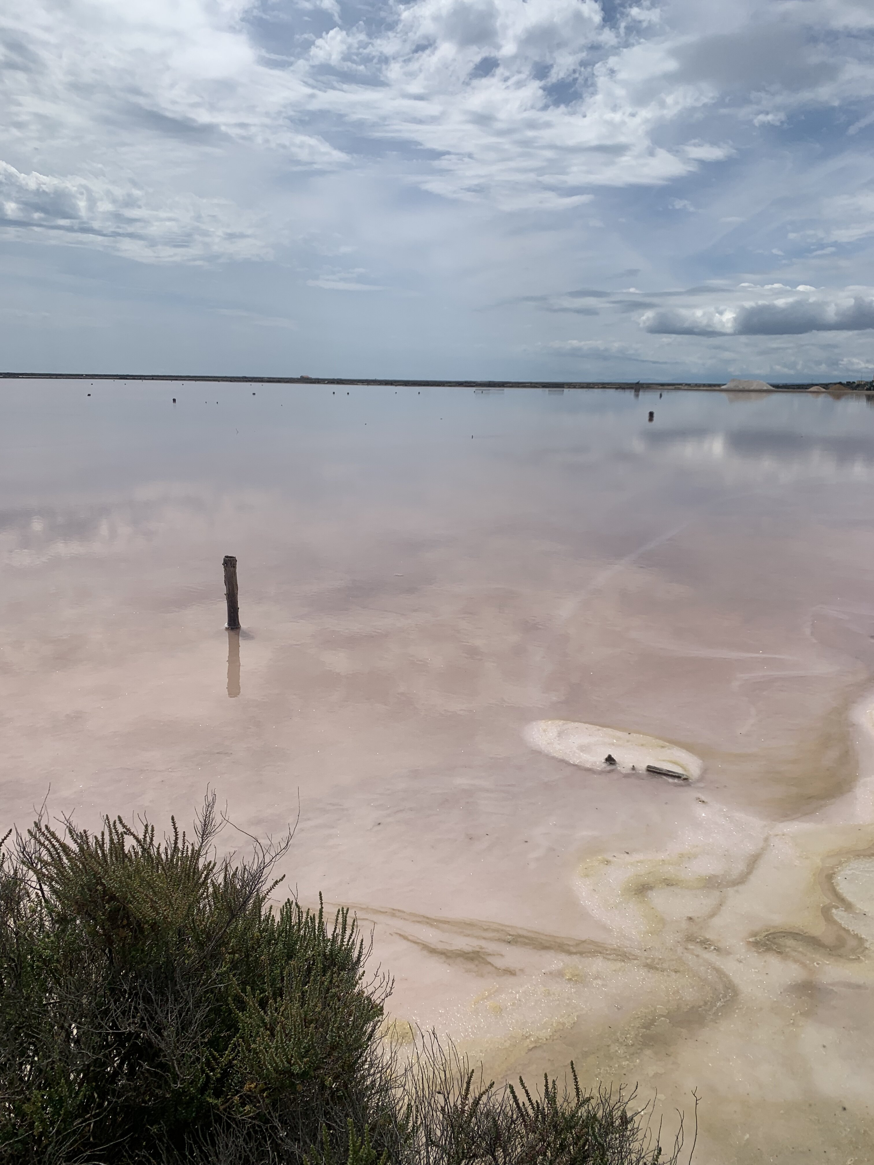 les salins gruissan