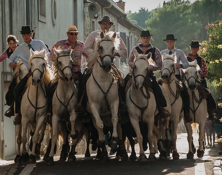 En gruppe ryttere på hvide heste rider gennem gaderne i Aigues-Mortes under en festlig kulturel begivenhed kaldt fêtes votives