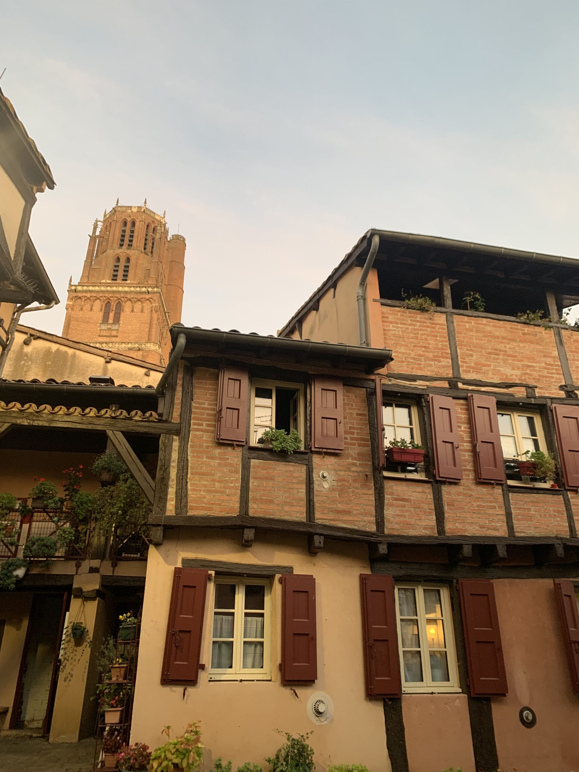 albi