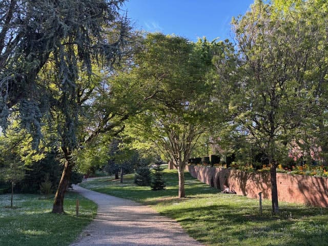 bypark i albi frankrig